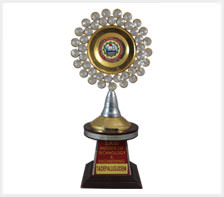 Robosapiens Technologies award by Sasi Institute of Technology india