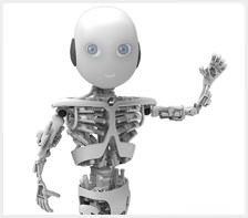 Indian Humanoid Robot Development